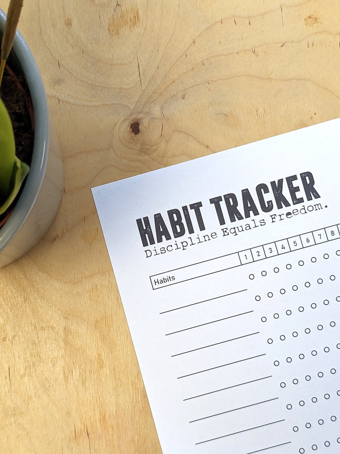 Monthly Habit Tracker Printable Landscape, Habit Tracker Template, Routine Tracker, 30 Day Habit Challenge, A4 /A3/Letter, Instant Download