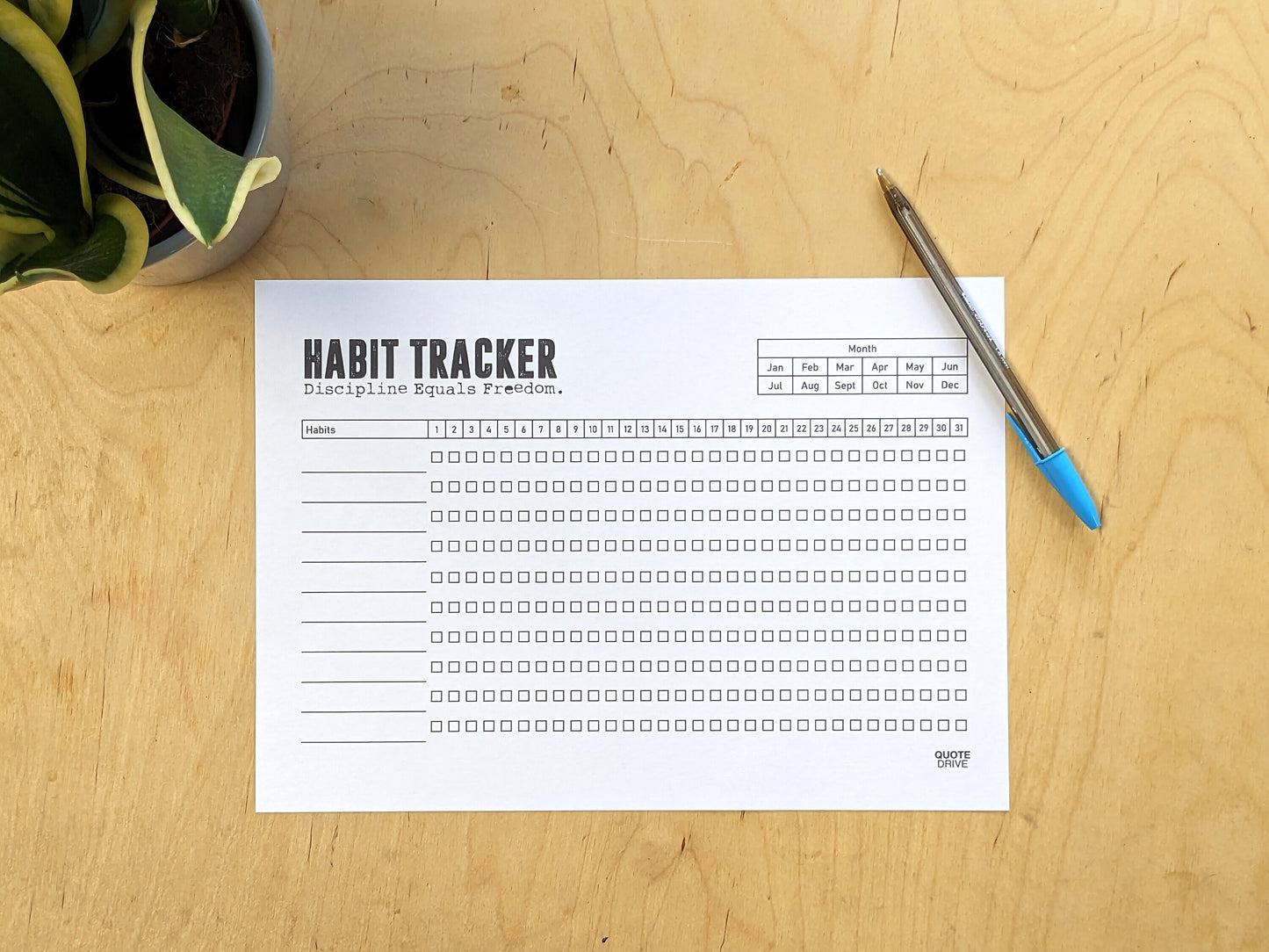 Monthly Habit Tracker Printable Landscape, Habit Tracker Template, Routine Tracker, 30 Day Habit Challenge, A4 /A3/Letter, Instant Download