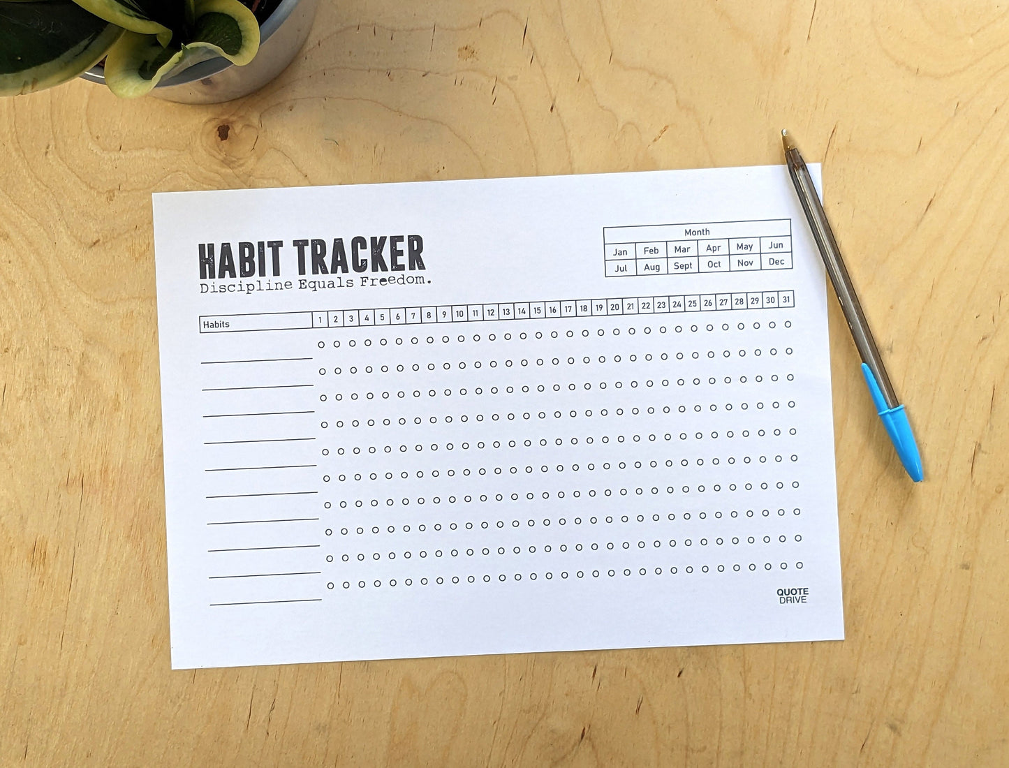 Monthly Habit Tracker Printable Landscape, Habit Tracker Template, Routine Tracker, 30 Day Habit Challenge, A4 /A3/Letter, Instant Download