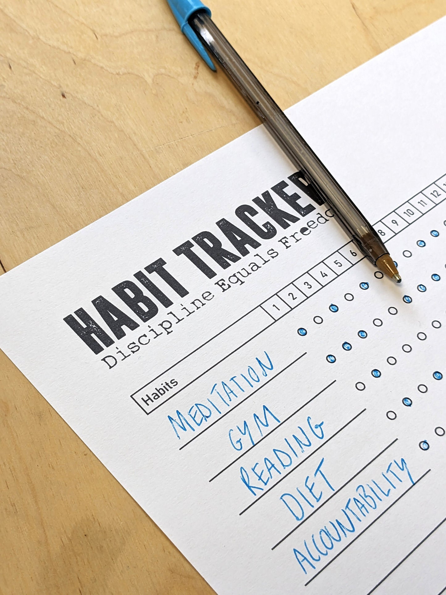 Monthly Habit Tracker Printable Landscape, Habit Tracker Template, Routine Tracker, 30 Day Habit Challenge, A4 /A3/Letter, Instant Download